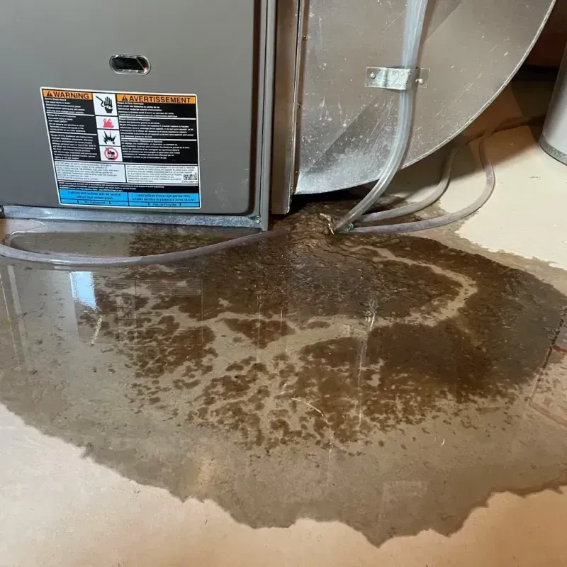 Appliance Leak Cleanup in Troup County, GA